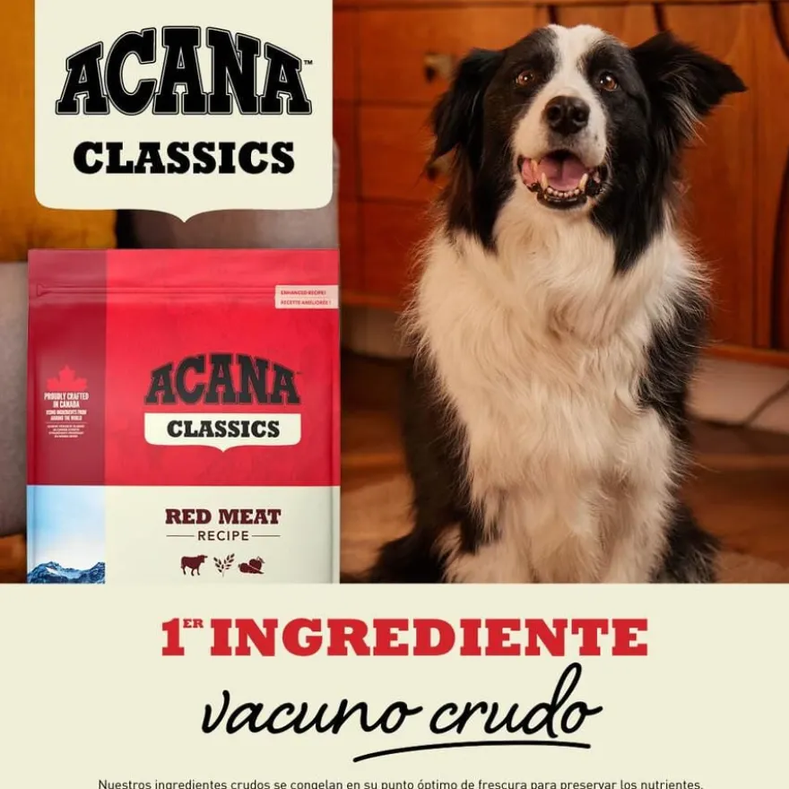 Acana Classic Red Meat ração para cães