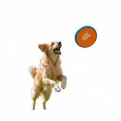 All For Paws Wag Play Frisbee Voador para cães
