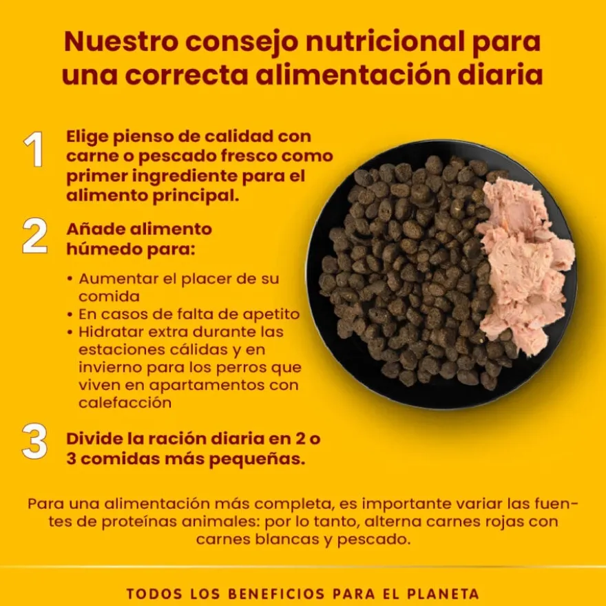 Almo Nature HFC Classic para cães