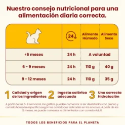 Almo Nature Kitten HFC Frango lata para gatos