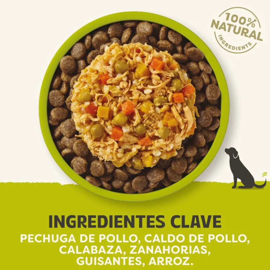 Applaws Taste Toppers Frango com Legumes em Molho lata para cães