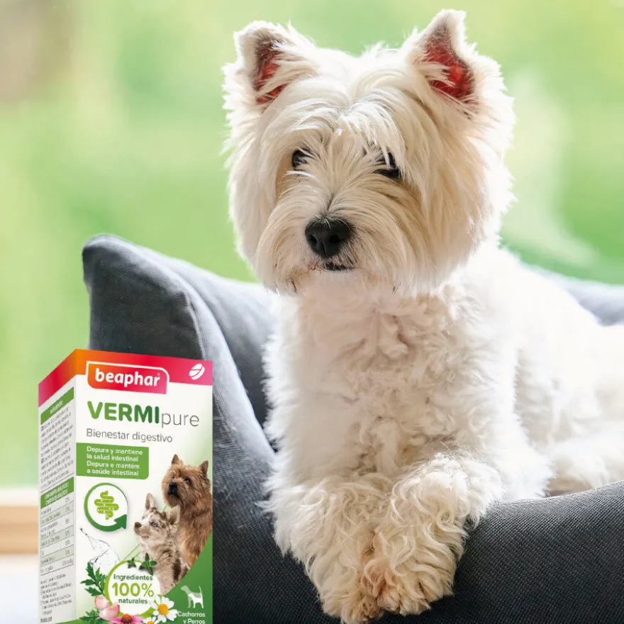 Beaphar desparasitante interno natural para cães