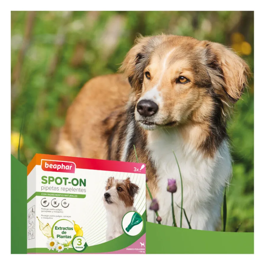 Beaphar Pipetas Repelentes para cães