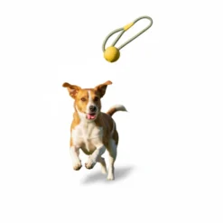 BECO Mordedor bola de lançar amarela para cães