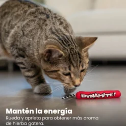 Catstages Green Magic Dynamite Vermelho Peluche para gatos
