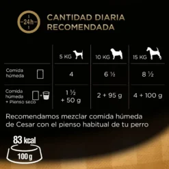 Cesar Mistura de Carnes Geleia em Saquinho para Cães - Multipack