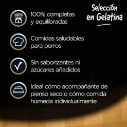 Cesar Mistura de Carnes Geleia em Saquinho para Cães - Multipack