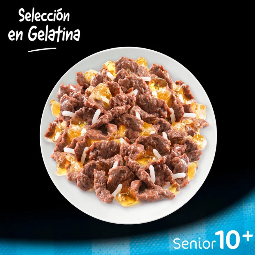 Cesar Mistura de Carnes Geleia em Saquinho para Cães Sénior - Multipack