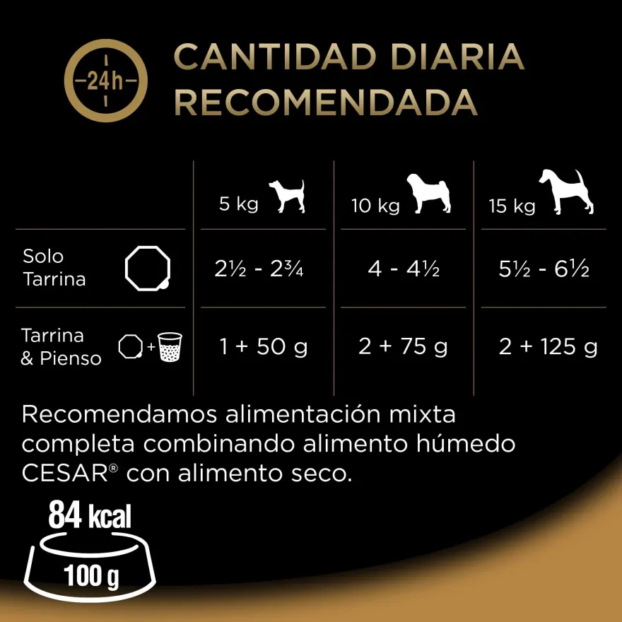 Cesar Receita camponesa terrina em molho para cães - Multipack