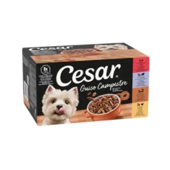 Cesar Receita camponesa terrina em molho para cães - Multipack