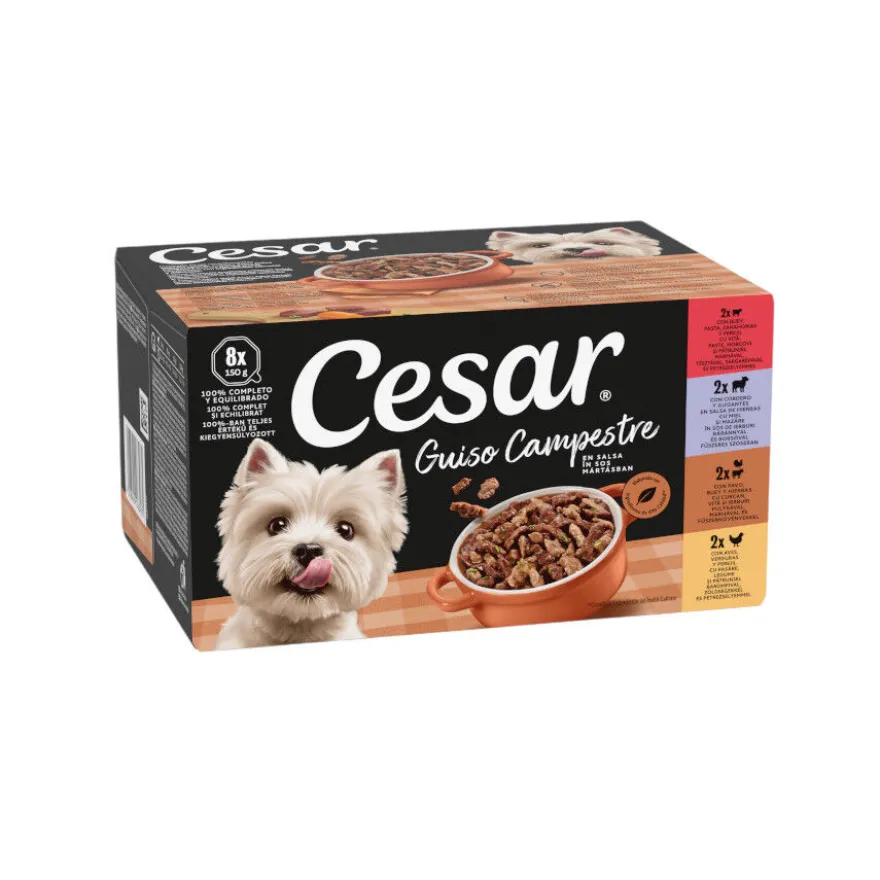 Cesar Receita camponesa terrina em molho para cães - Multipack