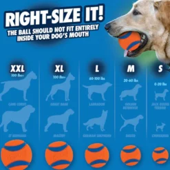 Chuckit! Ultra bola de borracha flutuante para cães