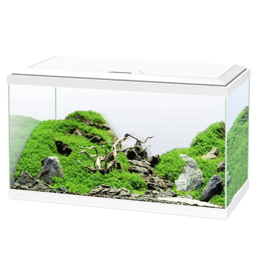 Ciano Aqua Led 60 Aquário Branco com luz led, filtro e aquecedor