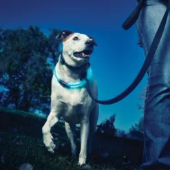 Colar Nite Ize NiteHowl Coleira com luz LED azul para cães