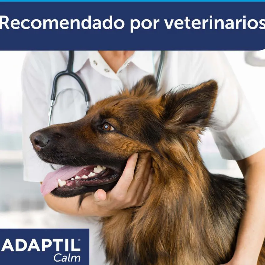 Coleira tranquilizante para cães