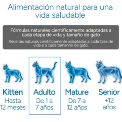 Criadores Científico Adulto Esterilizado Ração de frango para gatos