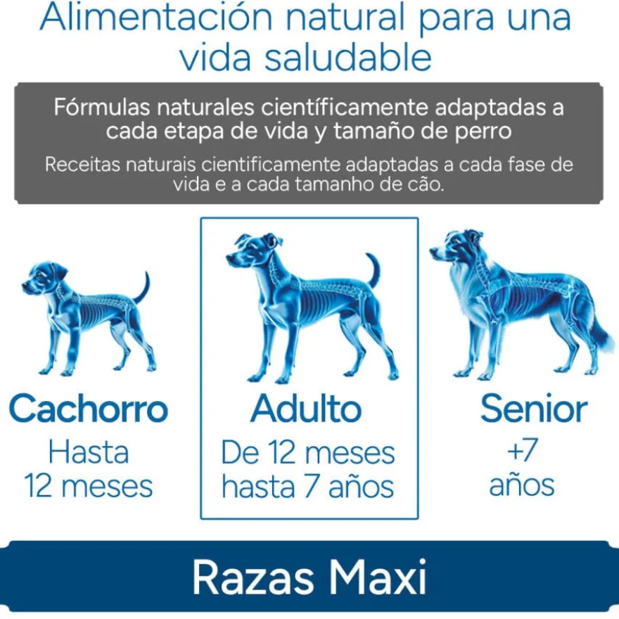 Criadores Científico Adulto Maxi Ração de frango para cães