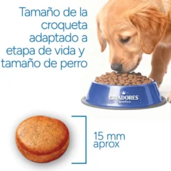 Criadores Científico Adulto Maxi Ração de frango para cães