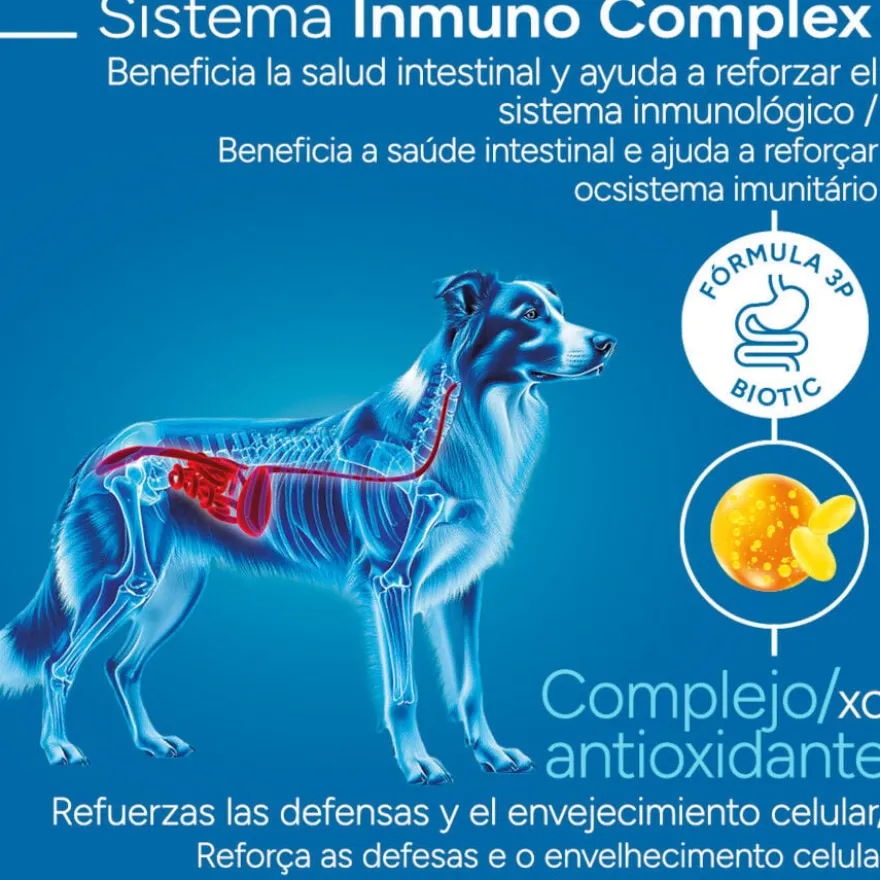 Criadores Científico Light -46% de gordura Adulto Medium-Maxi Ração de frango para cães