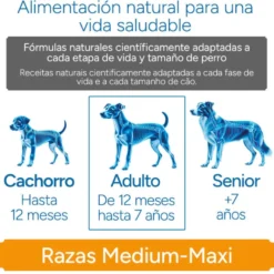 Criadores Científico Light -46% de gordura Adulto Medium-Maxi Ração de frango para cães