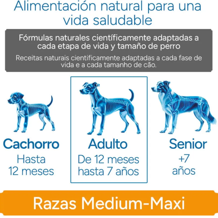 Criadores Científico Light -46% de gordura Adulto Medium-Maxi Ração de frango para cães