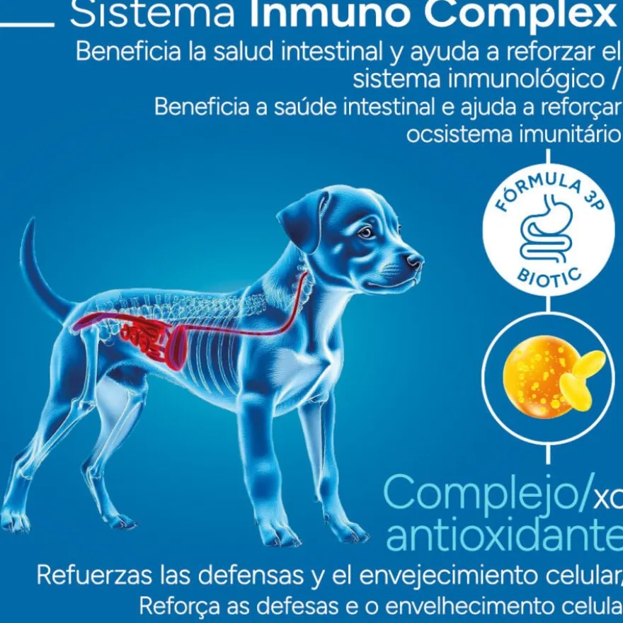 Criadores Científico Medium Maxi Ração de frango para cachorros