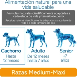 Criadores Científico Medium Maxi Ração de frango para cachorros