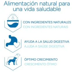 Criadores Científico Medium Maxi Ração de frango para cachorros