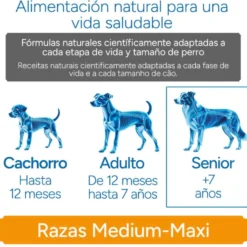 Criadores Científico Senior Ração para cães de raças médias e grandes