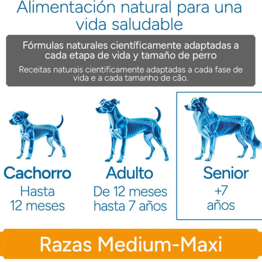Criadores Científico Senior Ração para cães de raças médias e grandes