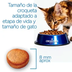 Criadores Científico Senior +12 Ração de peixe para gatos