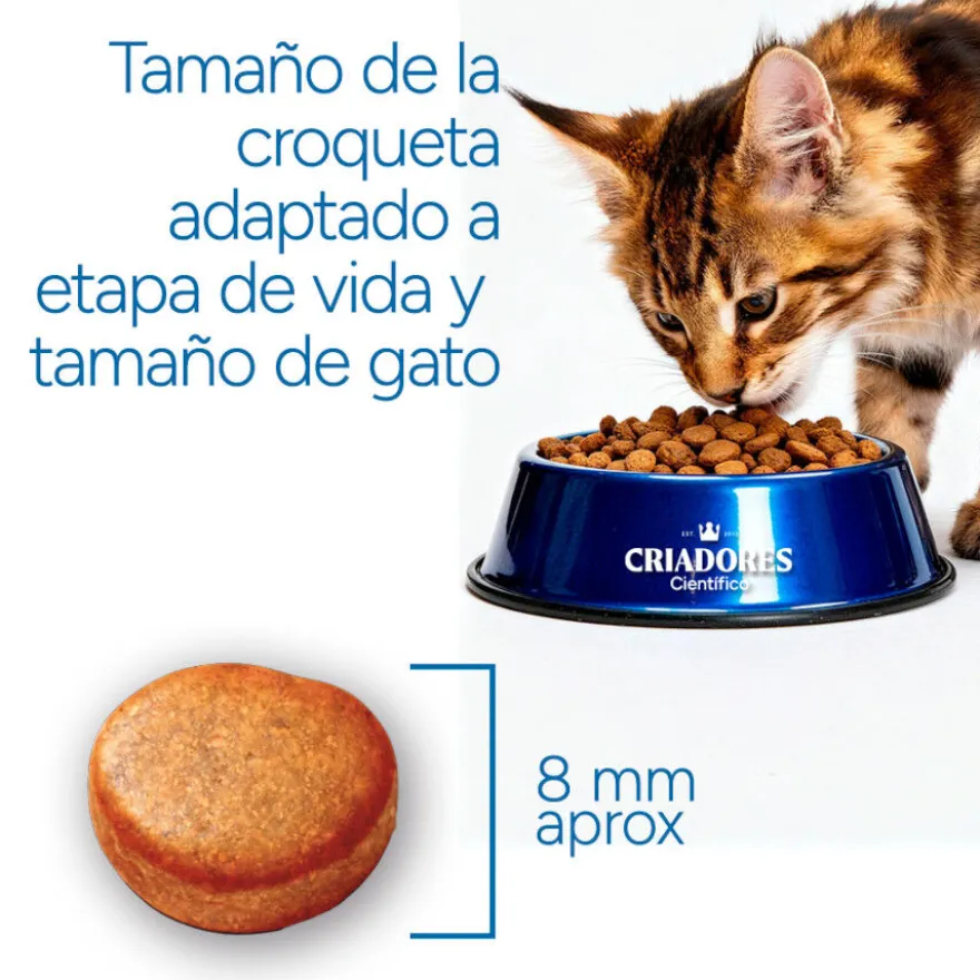 Criadores Científico Senior +12 Ração de peixe para gatos