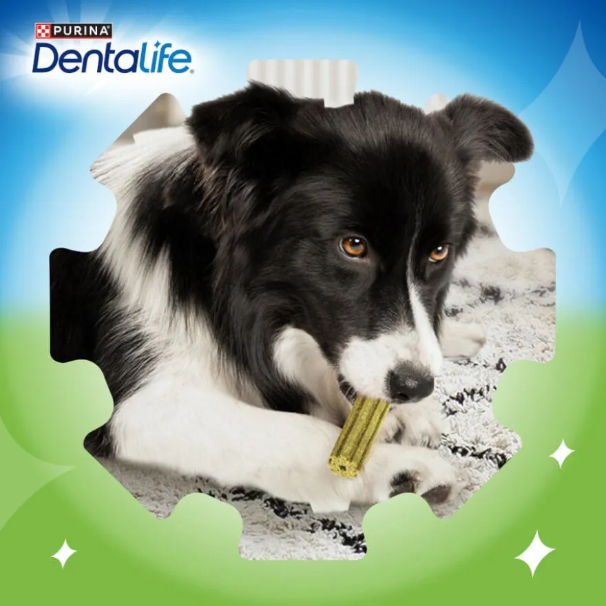 Dentalife Snacks Dentários Large ActivFresh para cães
