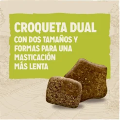 Dog Chow Adult Frango ração para cães