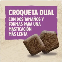 Dog Chow Senior frango