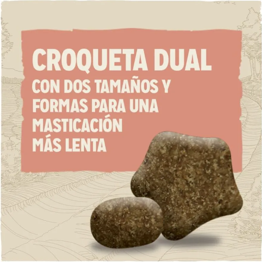 Dog Chow Sensitive com salmão ração para cães