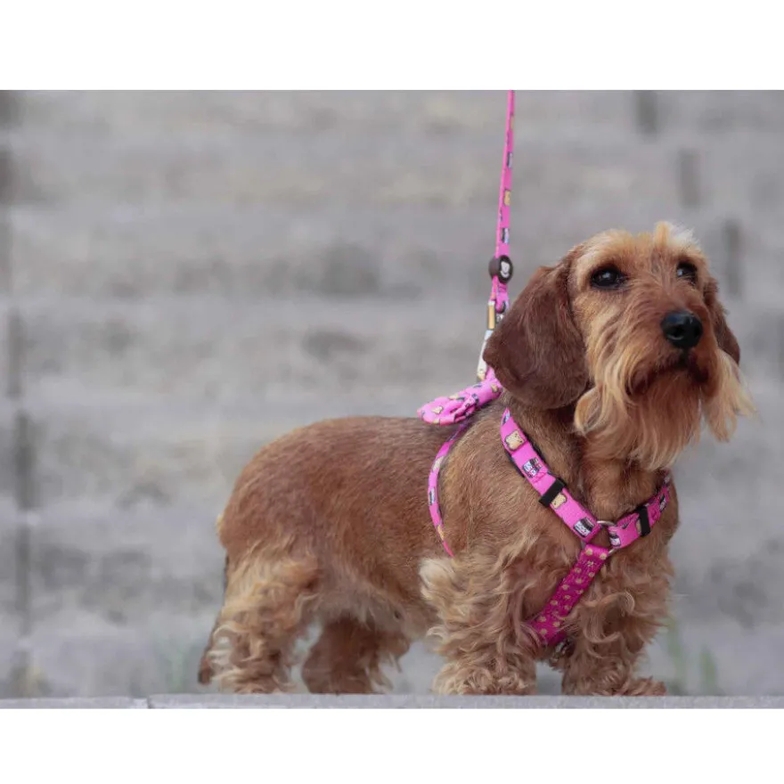 Dukier Dogtella Clássico Peitoral estampado de Nutella para cães