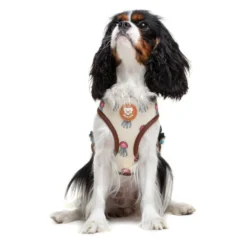 Dukier Peitoral reversível com estampado de tartaruga para cães