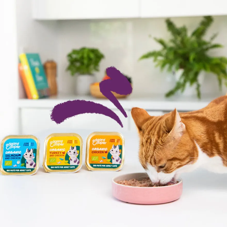 Edgard & Cooper Adult Frango Orgânico em Patê terrina para gatos