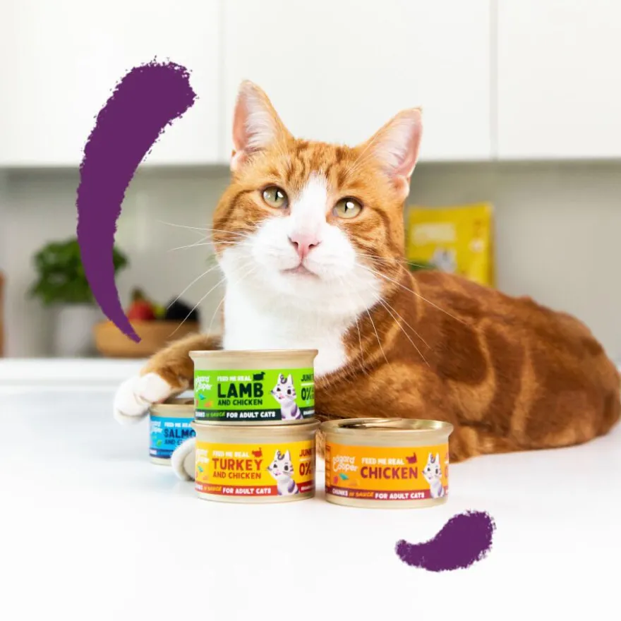 Edgard & Cooper Adult Pedaços de Salmão e Frango com molho em lata para gatos