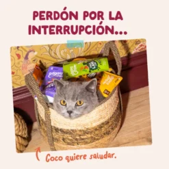 Edgard & Cooper Comida húmida de frango em molho em saqueta para gatos