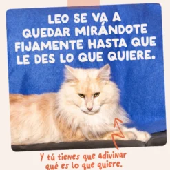 Edgard & Cooper Comida húmida de frango em molho em saqueta para gatos