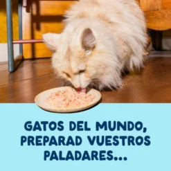 Edgard & Cooper Comida húmida Filetes de Atum e Lula em Caldo em lata para gatos