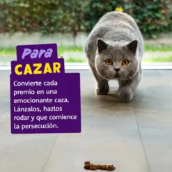 Edgard & Cooper Rolitos de salmão e frango para gatos