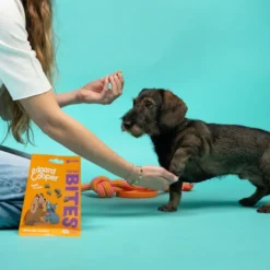 Edgard & Cooper Snacks Mini de Salmão e Frango para cães