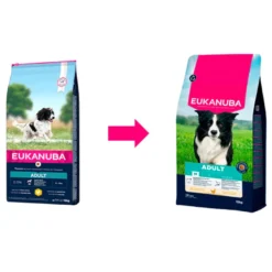 Eukanuba Adult Medium Ração de frango para cães