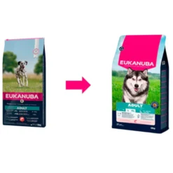 Eukanuba Adult Salmão ração para cães