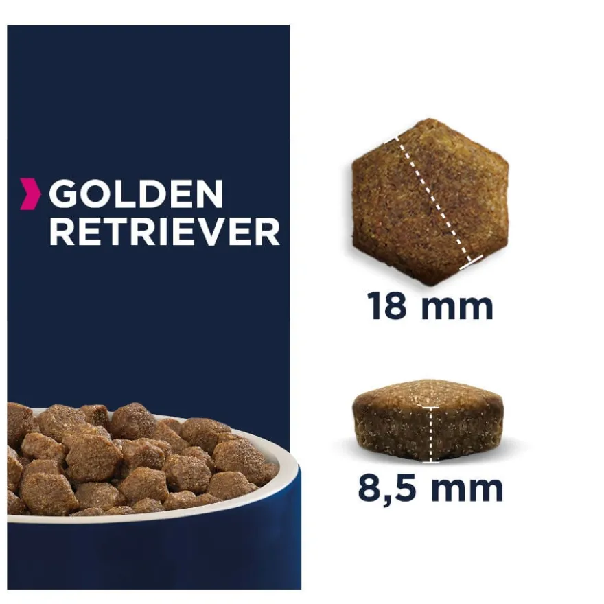 Eukanuba Breed Specific Golden Retrievers ração para cães