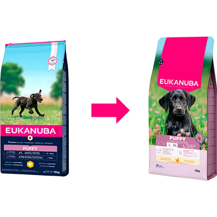 Eukanuba Puppy Large Breed Ração de frango para cães