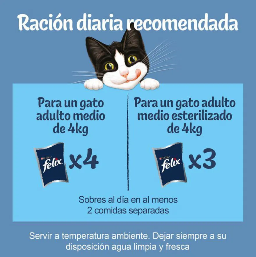 Felix Fantastic Duo Delicious Peixe em gelatina para gatos